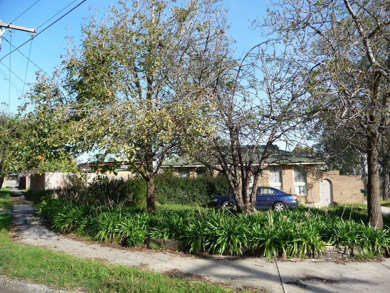 5 Lakeview Avenue, Rowville VIC 3178