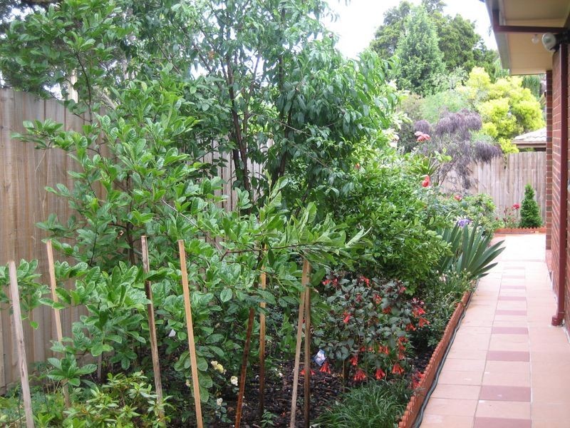 2/8 Ling Court, Mulgrave VIC 3170