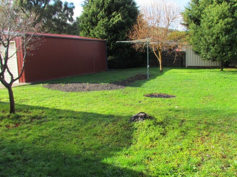 100 Amber Crescent, Narre Warren VIC 3805