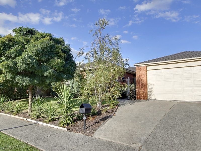 319 Dandelion Drive, Rowville VIC 3178