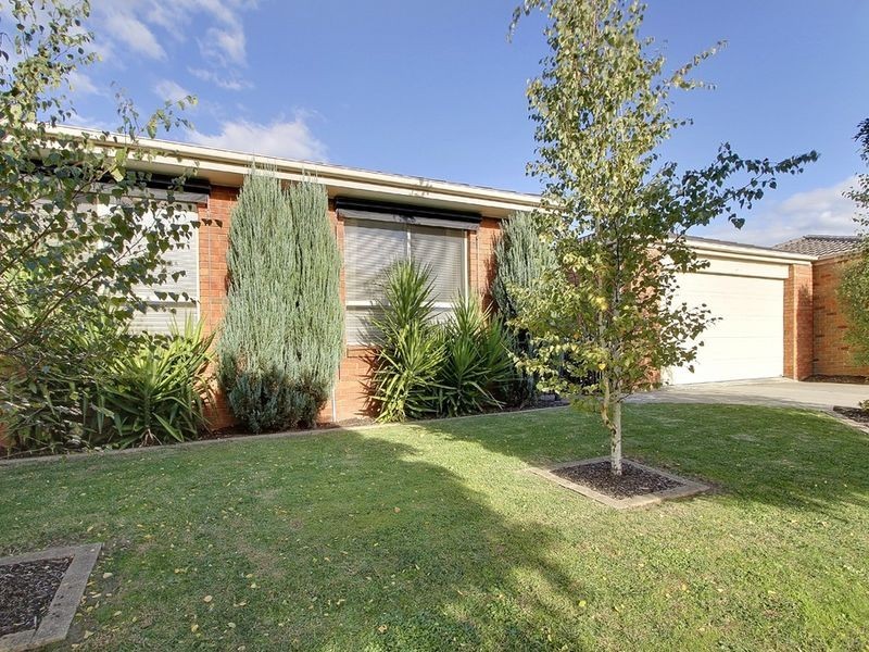 319 Dandelion Drive, Rowville VIC 3178
