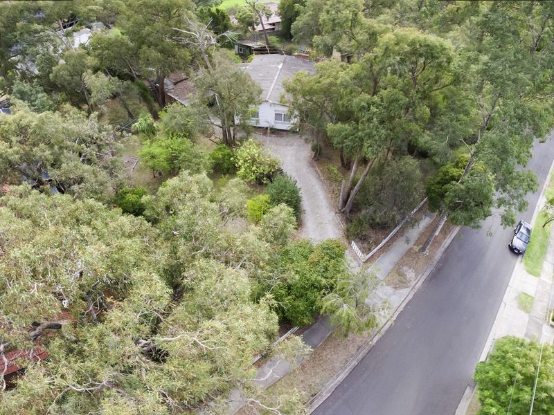 81 David Street North, Knoxfield VIC 3180