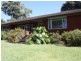 10 Willis Avenue, Pennant Hills NSW 2120