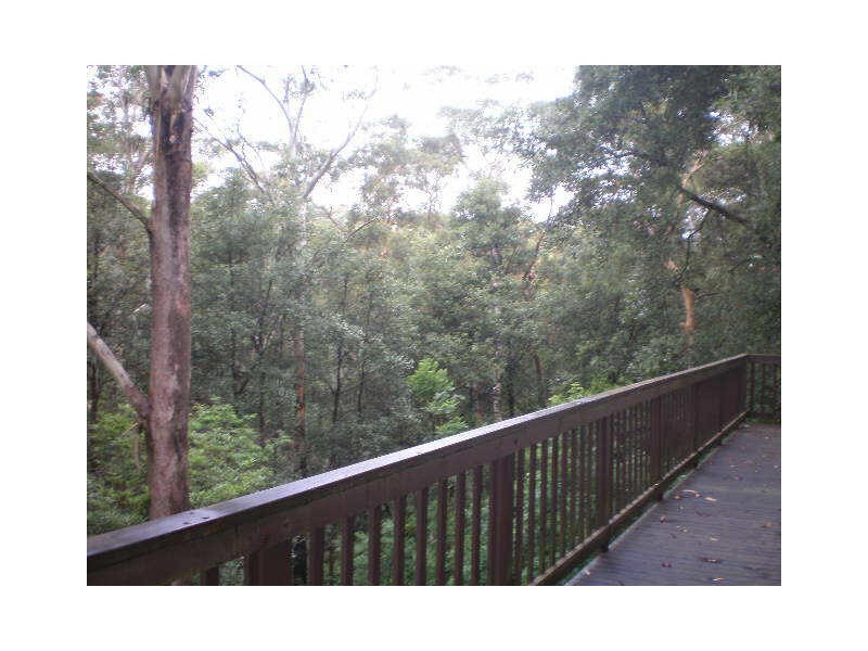 18 Jordan Road, Wahroonga NSW 2076