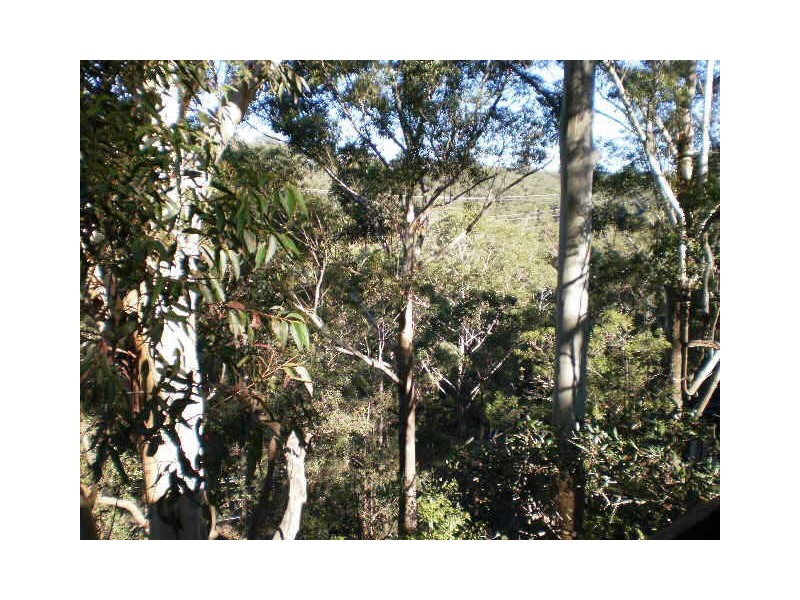 20 Cobbadah Avenue, Pennant Hills NSW 2120