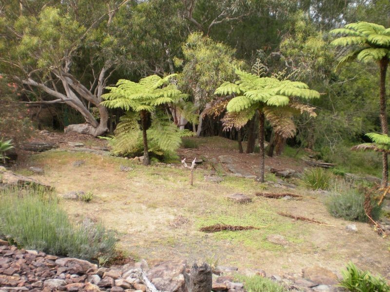 24 Westleigh Drive, Westleigh NSW 2120