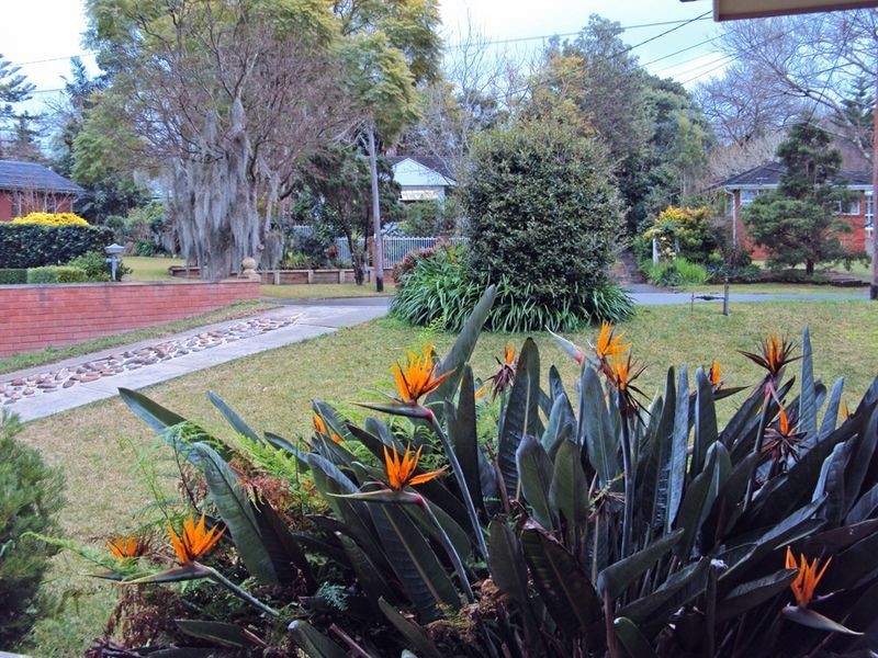 21 Judson Road, Thornleigh NSW 2120