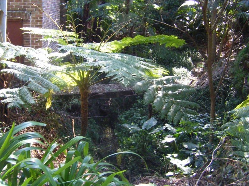 9B Spring Street, Beecroft NSW 2119