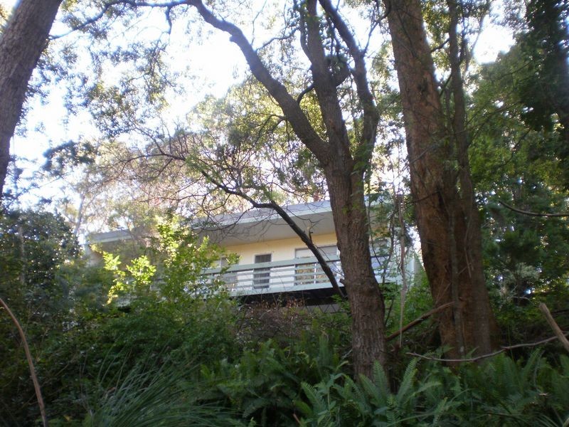 17 Vale Road, Thornleigh NSW 2120