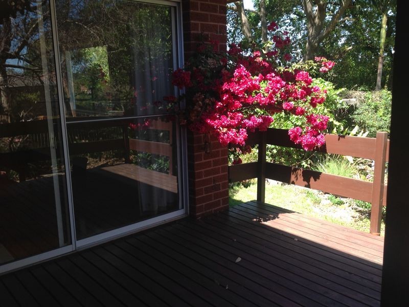 59 Beresford Road, Thornleigh NSW 2120