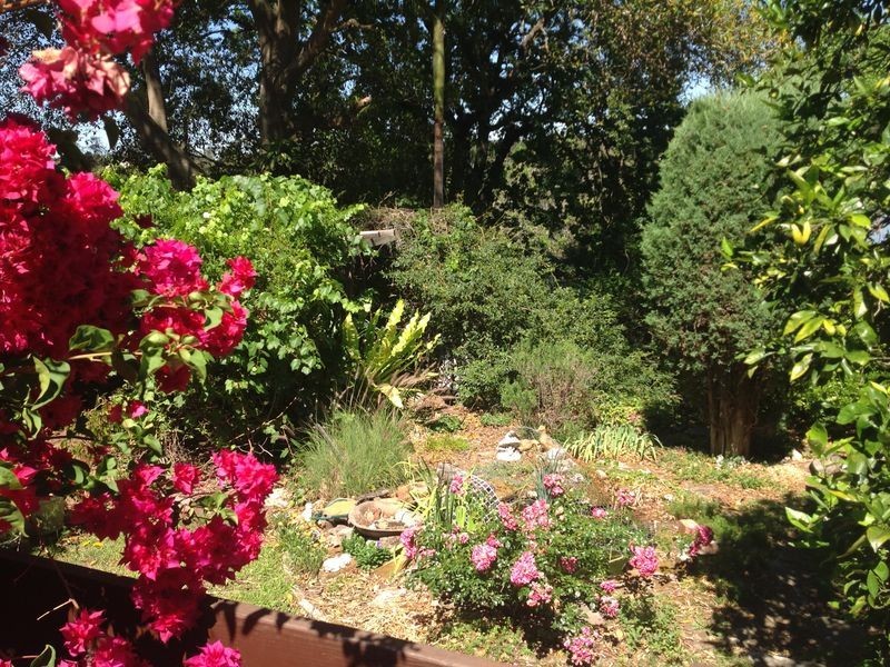 59 Beresford Road, Thornleigh NSW 2120