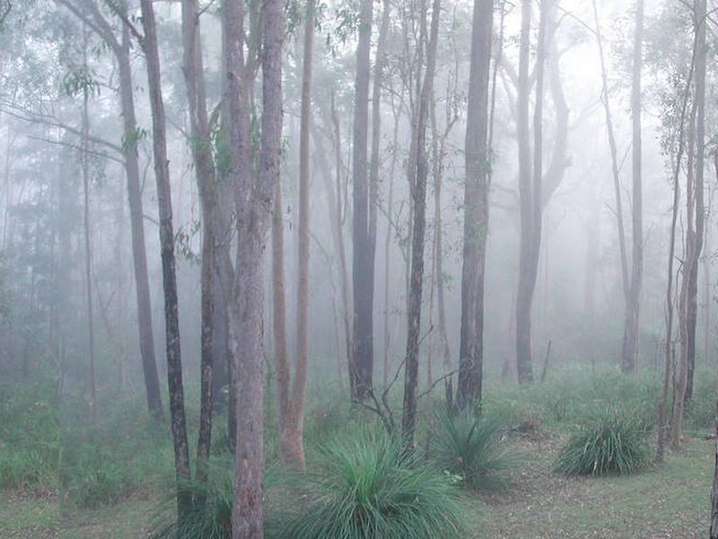 24 Corang Road, Westleigh NSW 2120