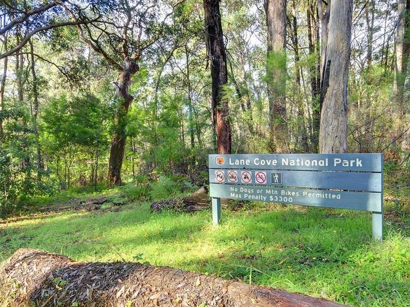 39 Albion Street, Pennant Hills NSW 2120