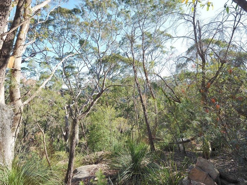 35 Barkala Place, Westleigh NSW 2120