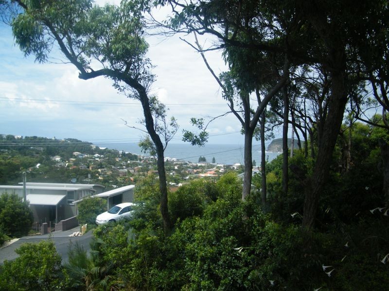 141 Del Mar Drive, Copacabana NSW 2251