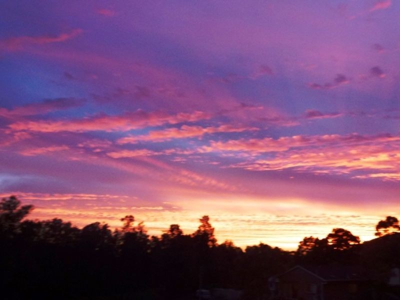 60 Broadwater Drive, Saratoga NSW 2251