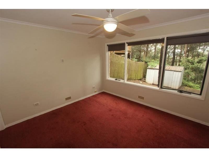 125 Hillside Road, Avoca Beach NSW 2251