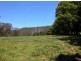 Picketts Valley NSW 2251