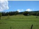 Picketts Valley NSW 2251