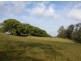 Picketts Valley NSW 2251