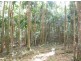 Picketts Valley NSW 2251