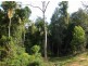 Picketts Valley NSW 2251