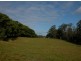 Picketts Valley NSW 2251