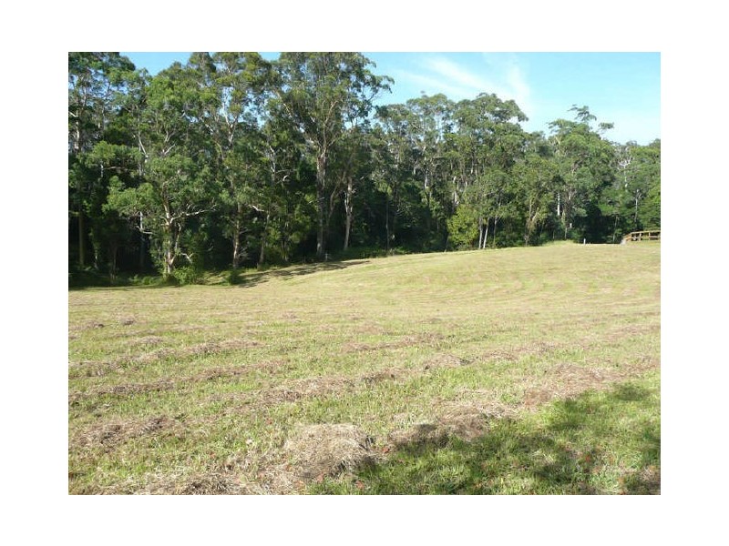 Picketts Valley NSW 2251