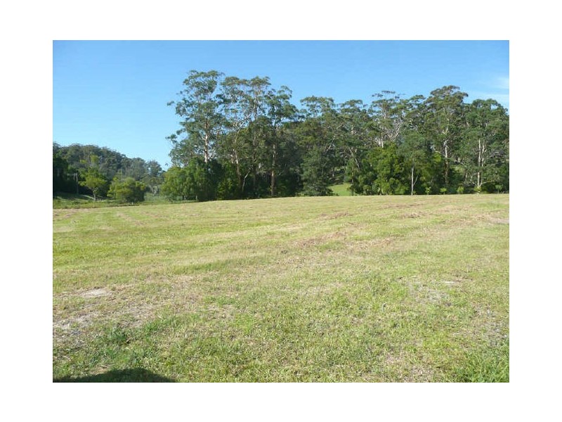 Picketts Valley NSW 2251