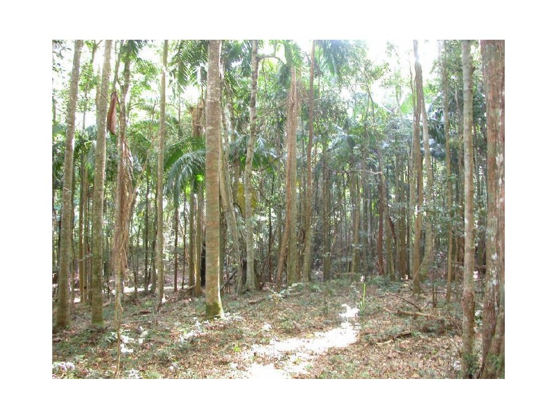 Picketts Valley NSW 2251