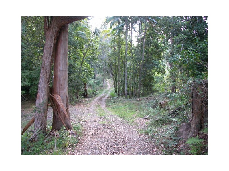 Picketts Valley NSW 2251