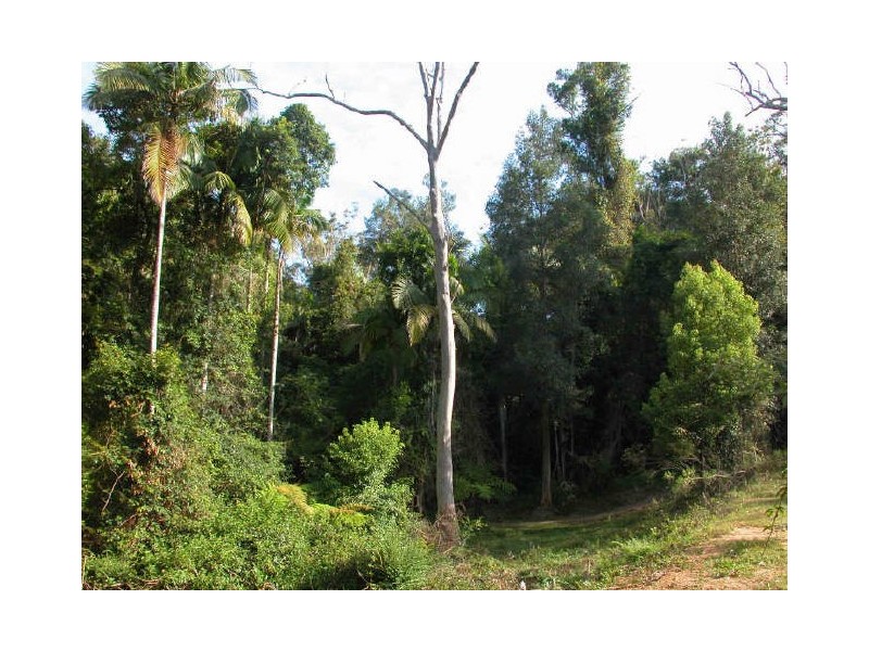 Picketts Valley NSW 2251