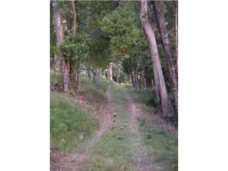 Picketts Valley NSW 2251