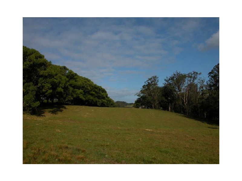 Picketts Valley NSW 2251