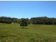 Picketts Valley NSW 2251