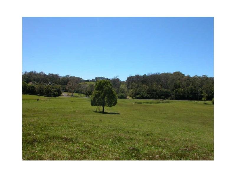 Picketts Valley NSW 2251