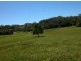 Picketts Valley NSW 2251
