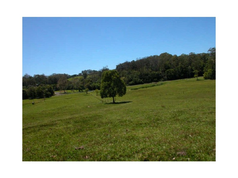 Picketts Valley NSW 2251
