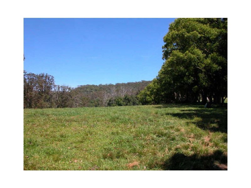 Picketts Valley NSW 2251