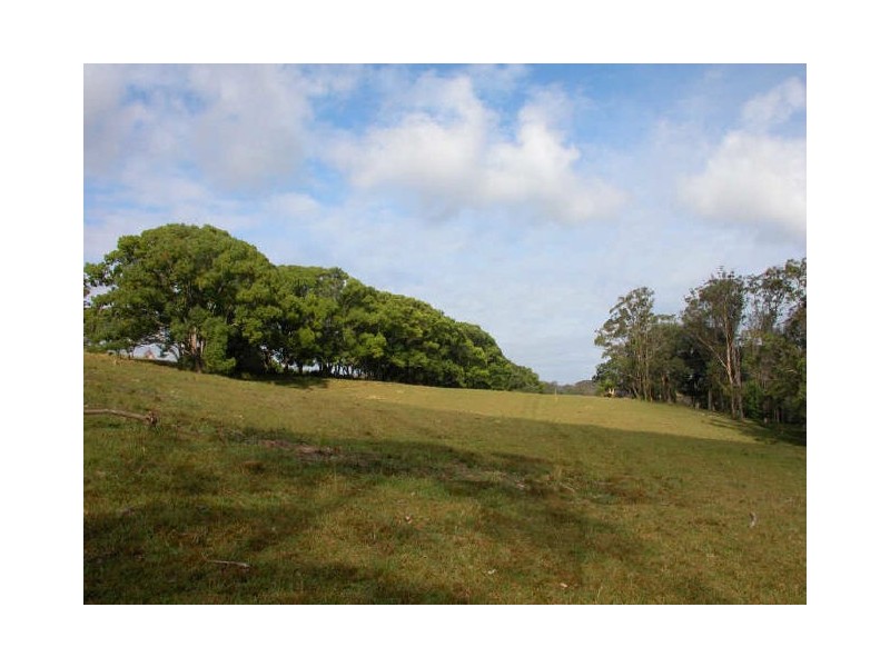 Picketts Valley NSW 2251