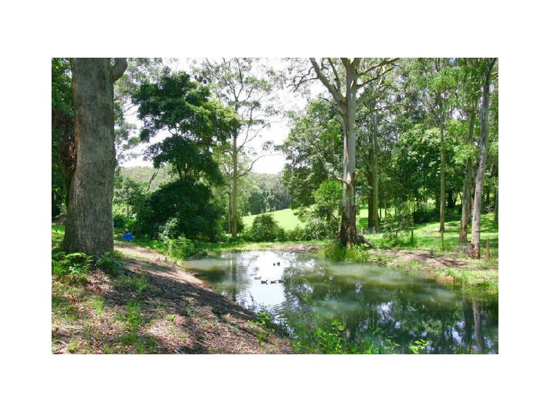 370 Avoca Drive, Avoca Beach NSW 2251