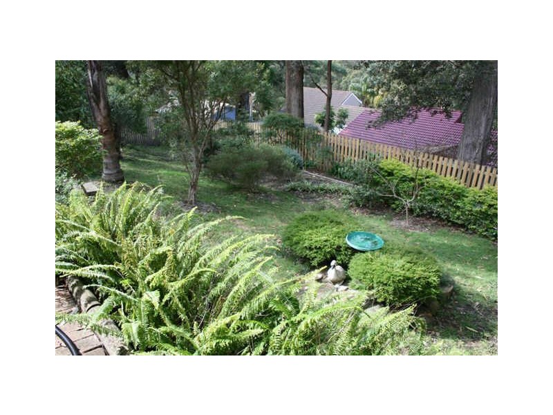 North Avoca NSW 2260