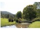 Picketts Valley NSW 2251