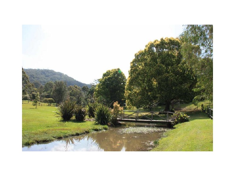 Picketts Valley NSW 2251