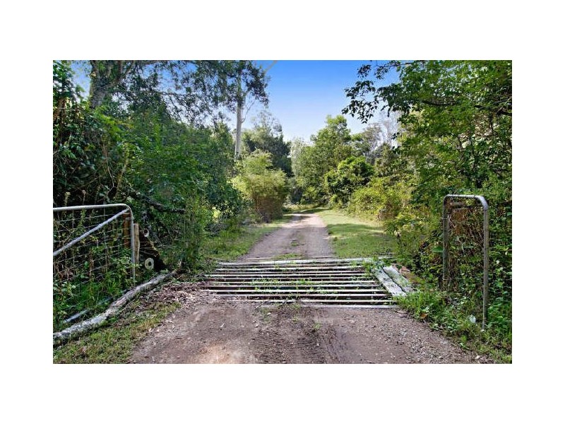 265 Scenic Highway, Terrigal NSW 2260