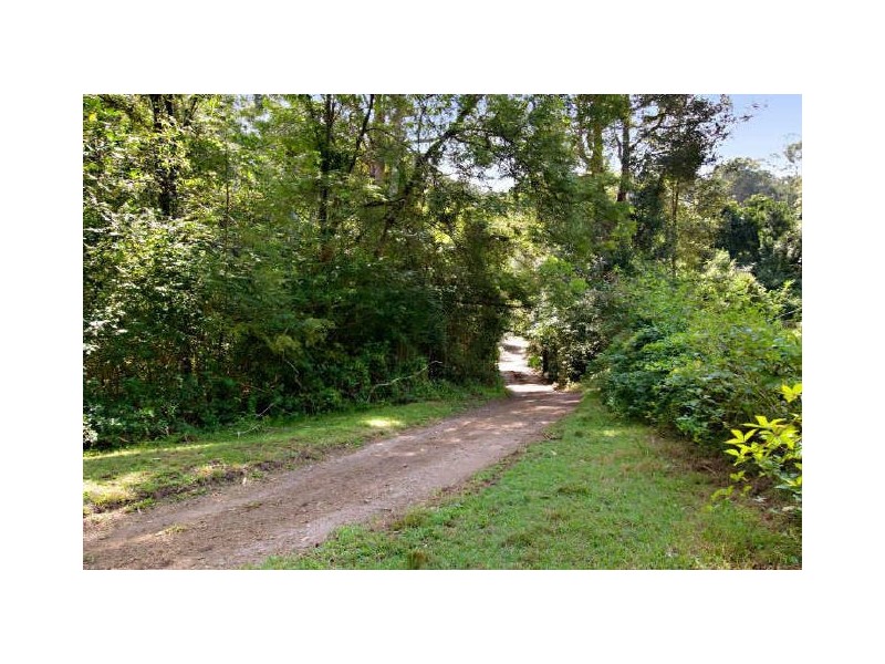 265 Scenic Highway, Terrigal NSW 2260