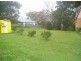 Terrigal NSW 2260