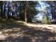 141 Cape Three Points, Avoca Beach NSW 2251