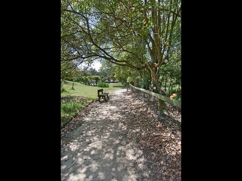 390 Ourimbah Creek Rd, Ourimbah NSW 2258