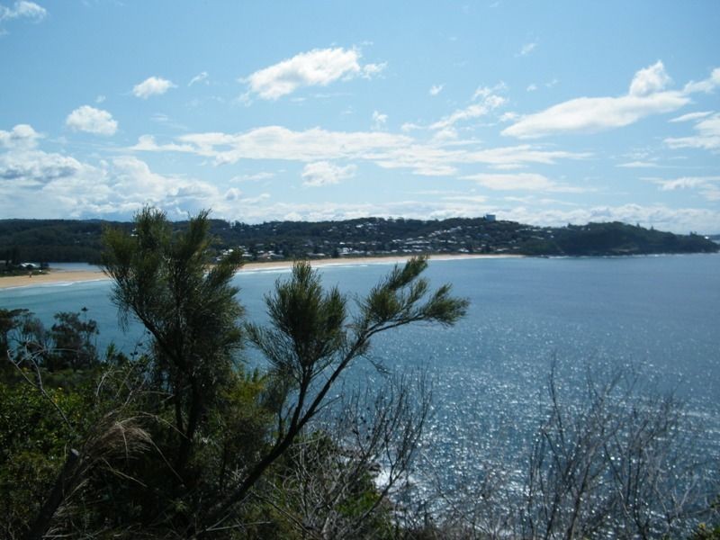 12/20 Avoca Drive, Avoca Beach NSW 2251